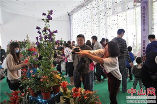 花海灣百萬蝴蝶展 邀您共舞花的海洋，蝶的盛宴