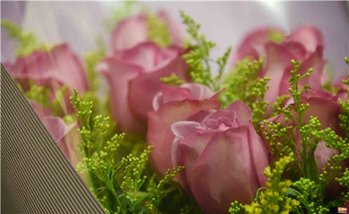 情人節合肥鮮花市場“一片紅火”，禮品花卉銷售火爆