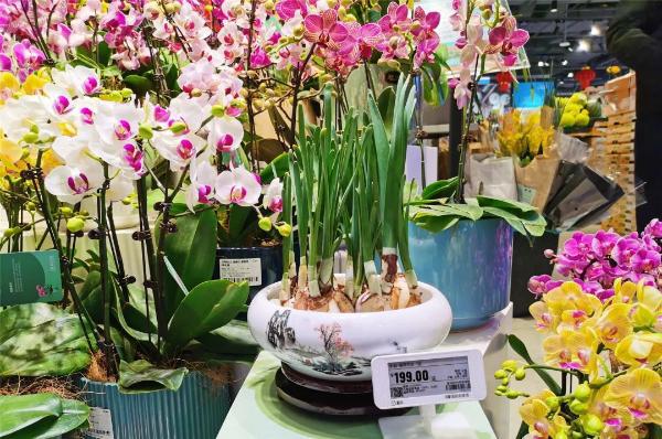 長寧商圈年味濃，禮品花卉迎春俏銷紅火